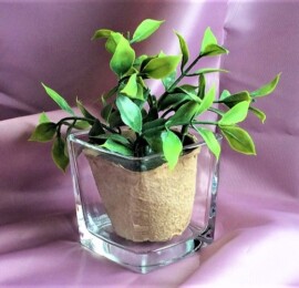 FB-06キューブ型Mサイズ(植物は無し) <br><span style="color: #ff0000;">サービス価格2600円 </span>  (一面加工費込み)<br>70×70mm 
H76mm(リビー製)  追加<br>でもう一面加工も可能です+500円。<br>観葉植物入れに あと小物入れにもお薦めです。好みの柄を入れてオリジナルに、持込みデザインも可能<br>
<center><a href="https://www.kobo-abe.com/order?product=FB-06" target="_blank"rel="noopener"><img border="0" src="https://www.kobo-abe.com/wp-content/uploads/2016/10/order-or200.png" width="200px" alt=""></a></center>
<br>
<br>