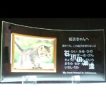 送別の記念品に名前の刻印HY2
</br>