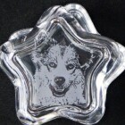 GZ-02 スター型<br>
持込みデザイン